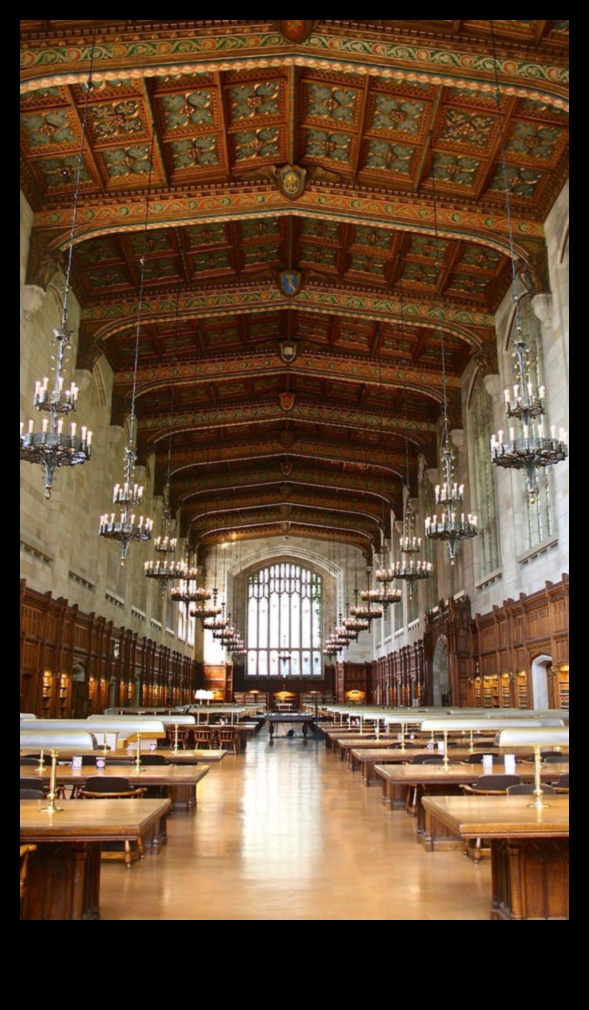 Gothic Grandeur Alive: The Artistry of Architectural Photography