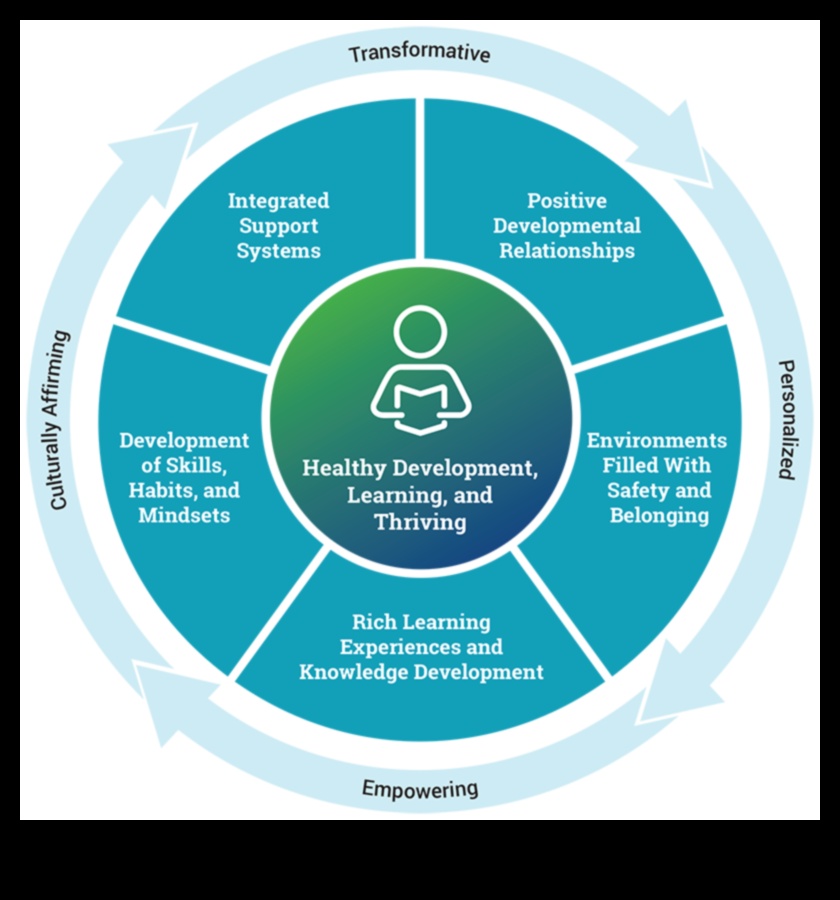 Dizaina pamati: būtisku principu un teorijas izpēte