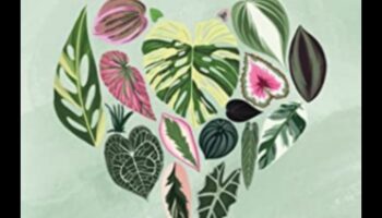 Izkopiet prieku: svarīgi soļi dinamiskai dārza kopšanai