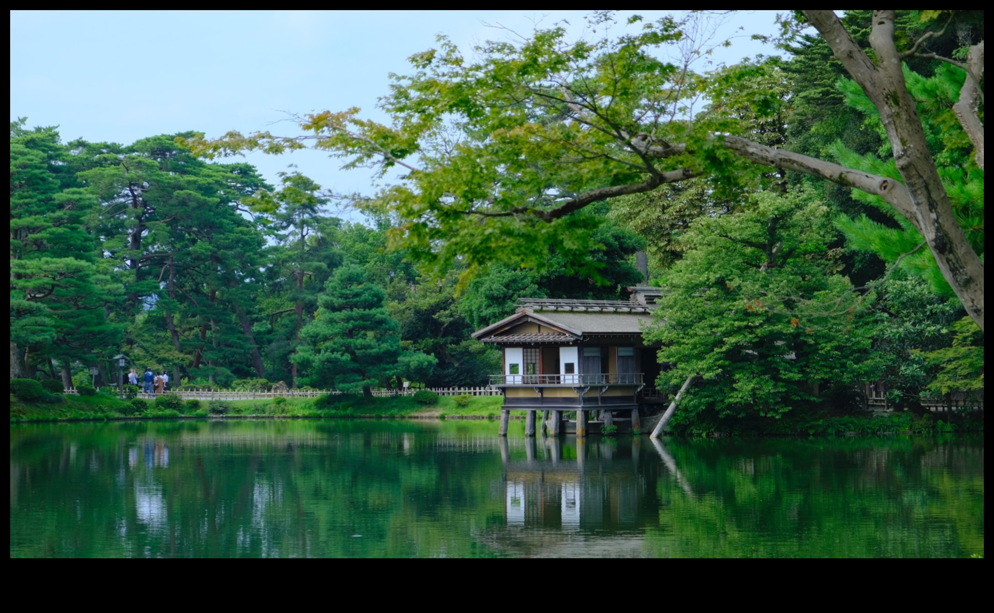 Dabas palete: japāņu dārza krāsas harmonijā