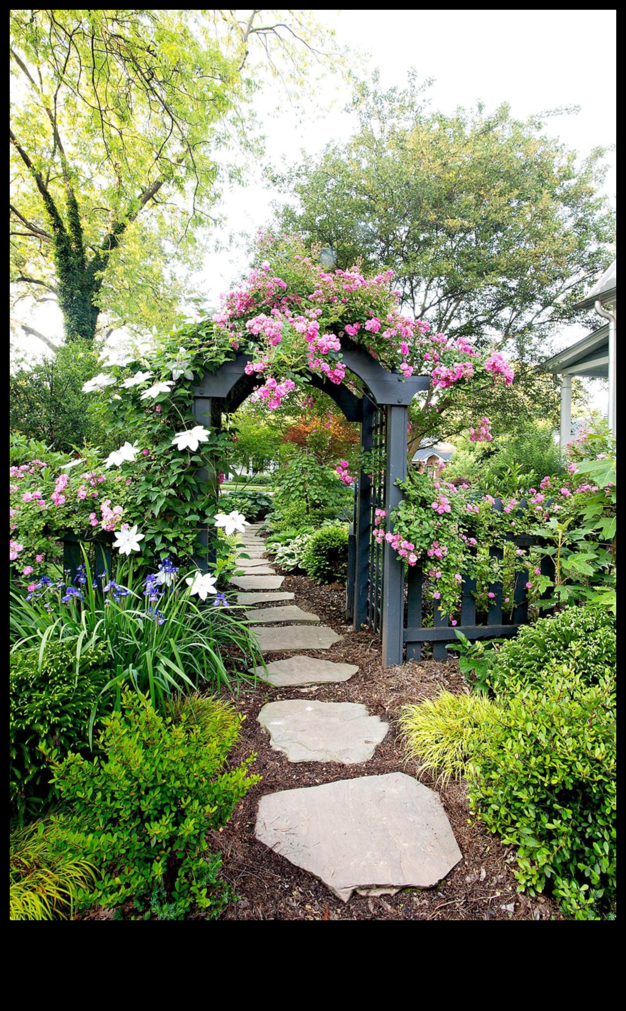 Sivēnmātes panākumi: svarīgi padomi ziedošai ainavai