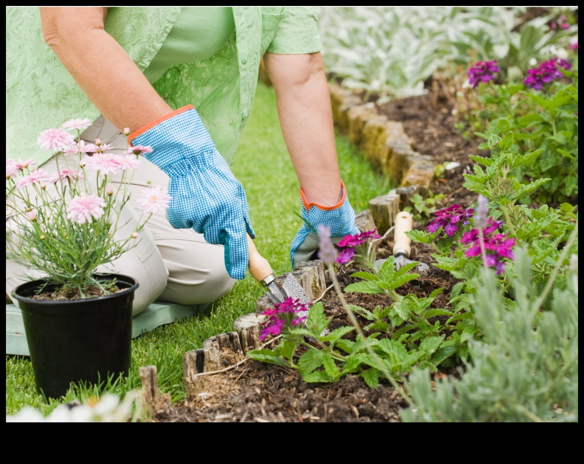Blossom Bliss: pārveidojoši padomi satriecošam dārzam