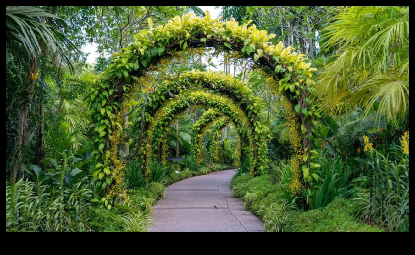 Botāniskā svētlaime: atklāti dārza dizaina brīnumi