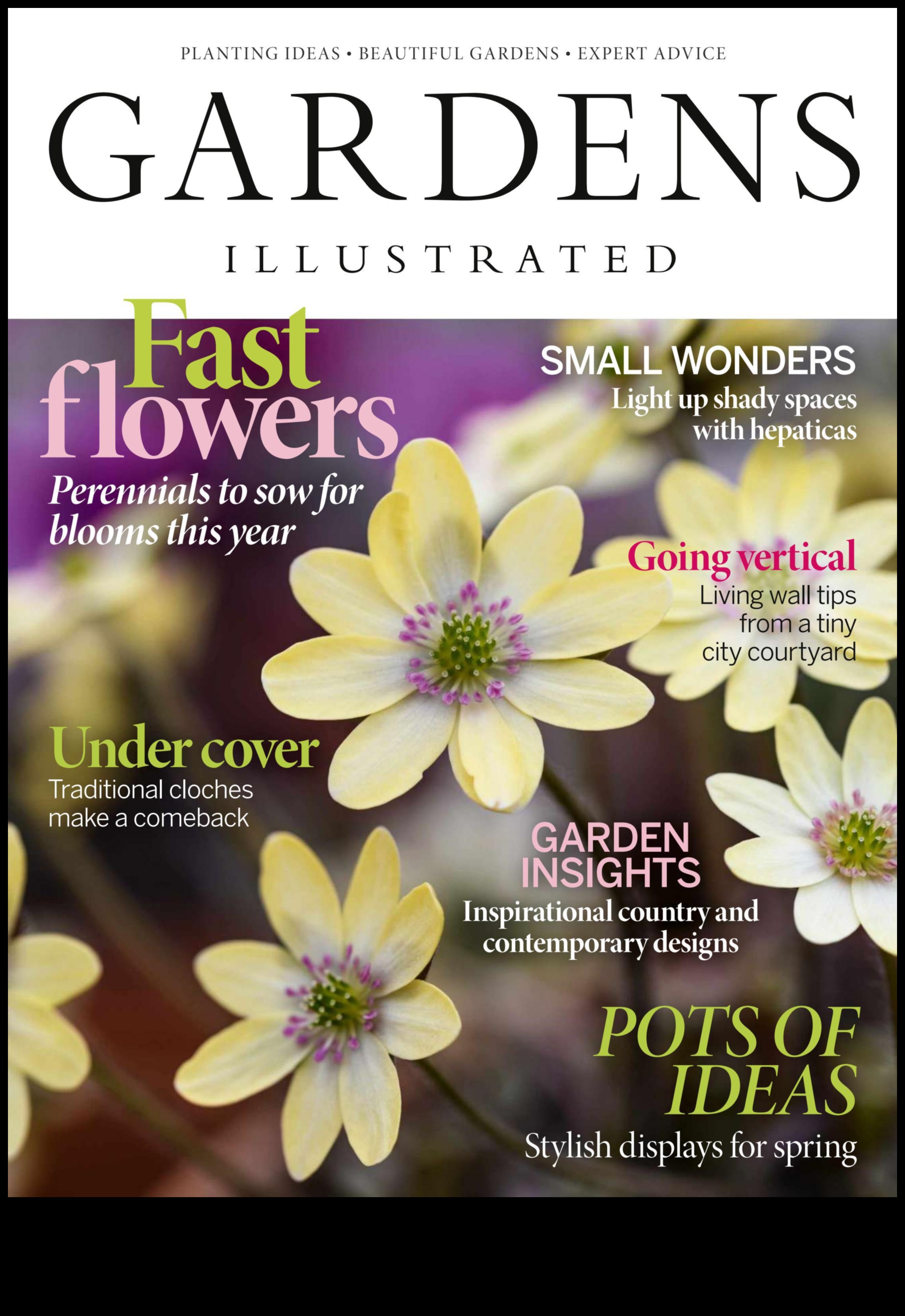 Ziedlapiņas un progress: ceļojums pārdomātā dārza kopšanā