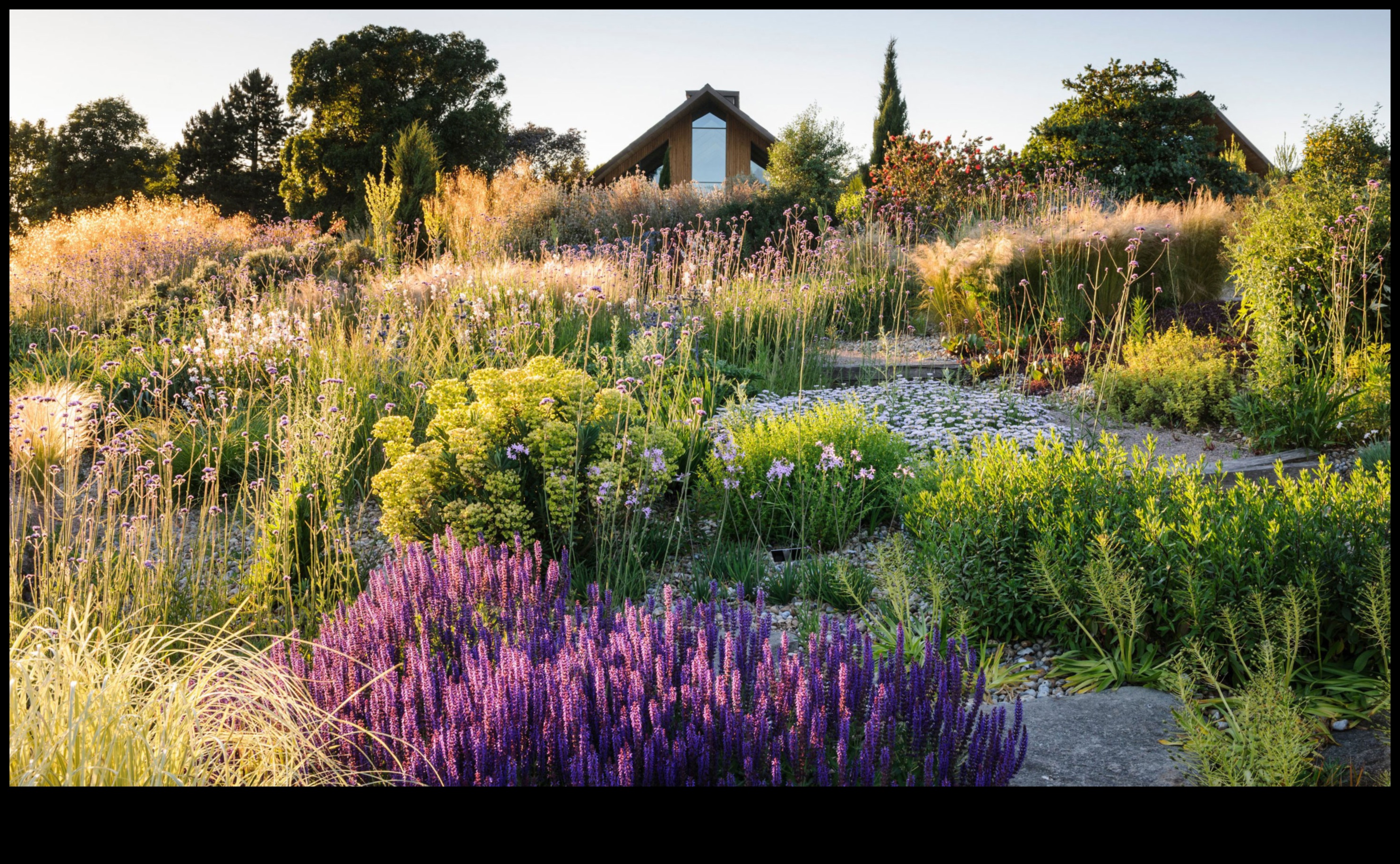 Zaļāki dārzi: jauniniet savu rīku komplektu, lai gūtu panākumus