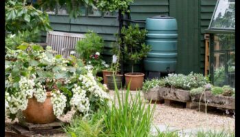 Zaļāki dārzi: jauniniet savu rīku komplektu, lai gūtu panākumus