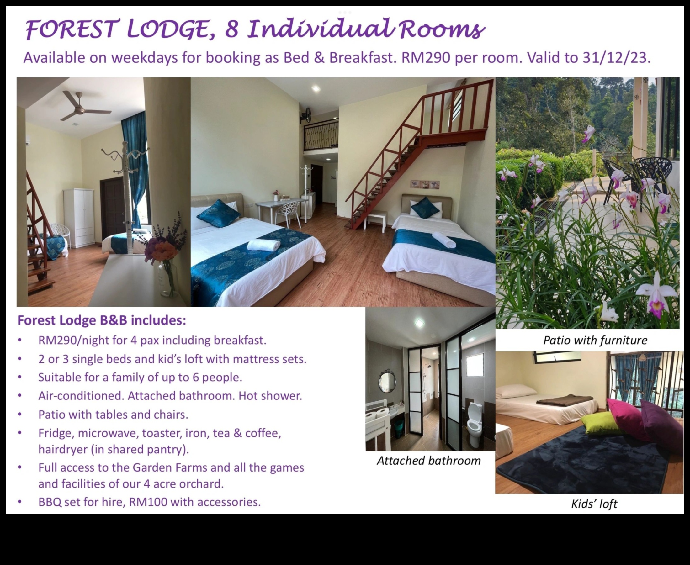 Starojošs atpūta: paceliet savu dārzu ar moderniem akcentiem