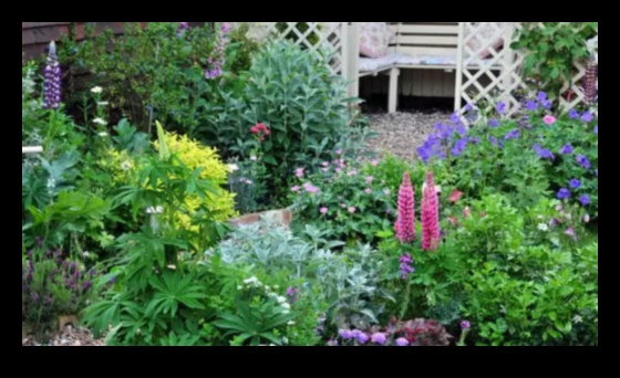 Šarms katrā ziedā: paceliet savu dārzu ar mākslinieciskiem pieskārieniem