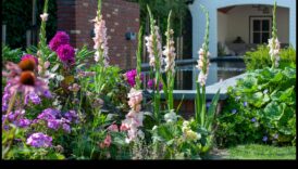 Šarms katrā ziedā: paceliet savu dārzu ar mākslinieciskiem pieskārieniem