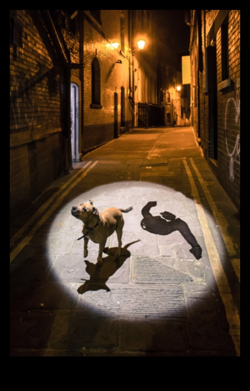 Ielas un ēnas: spēlēšanās ar gaismu pilsētas zīmējumos