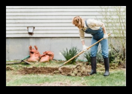 Izkopiet šarmu: svarīgi dārza instrumenti priecīgai dārzkopībai