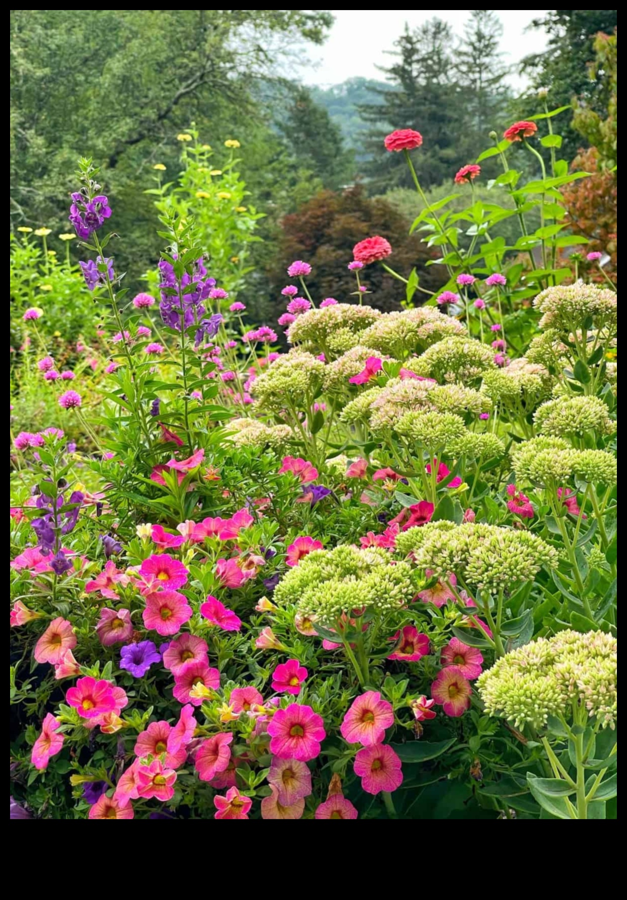 Aizsargājiet un iekarojiet: ātri uzveiciet dārza kaitēkļus