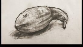 Novērošanas māksla: atklātas dzīves zīmēšanas metodes