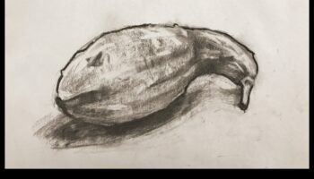 Novērošanas māksla: atklātas dzīves zīmēšanas metodes