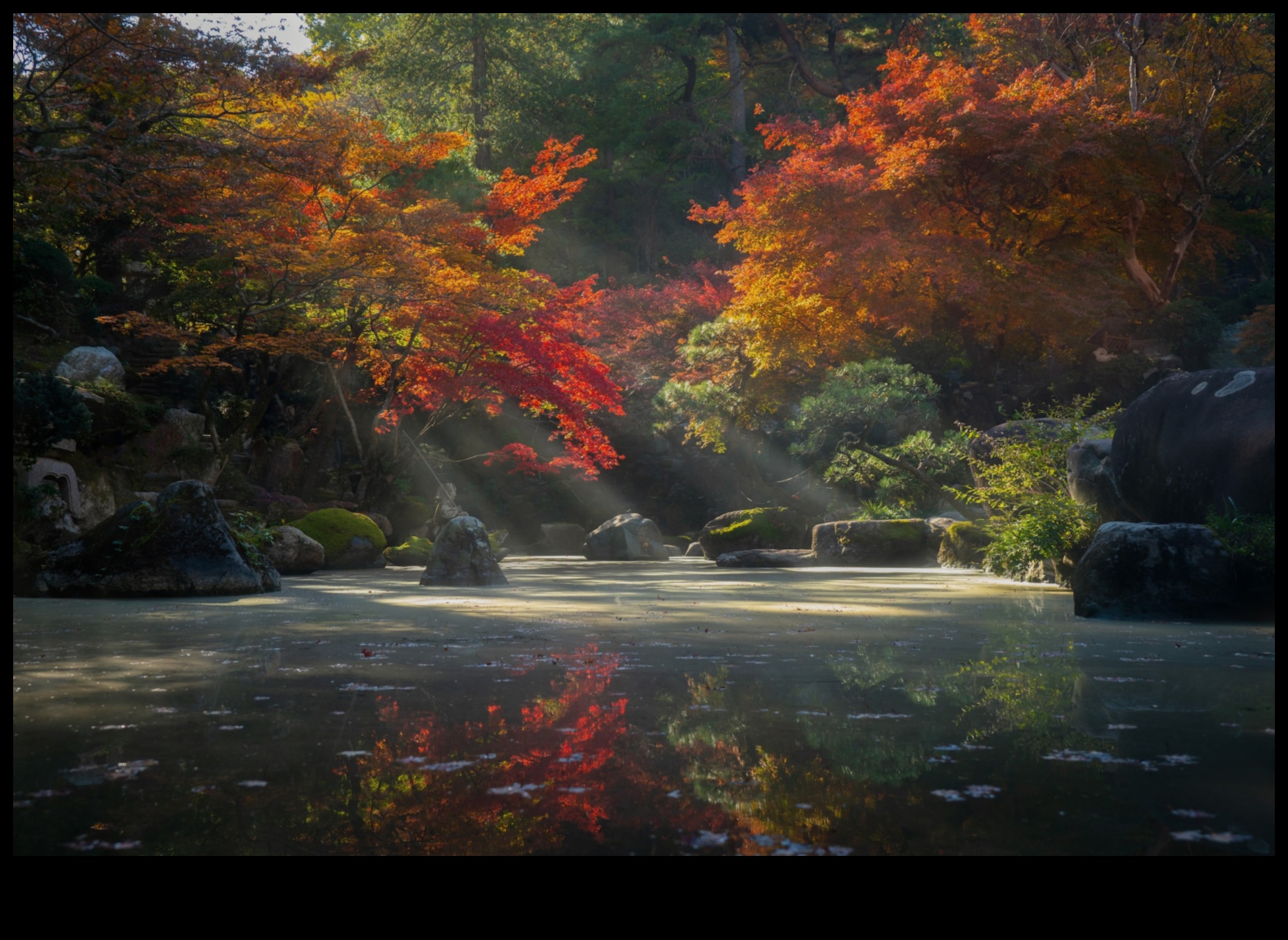 Dabas palete: japāņu dārza krāsas harmonijā