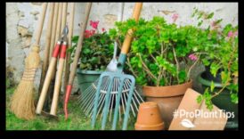 Izkopiet šarmu: svarīgi dārza instrumenti priecīgai dārzkopībai