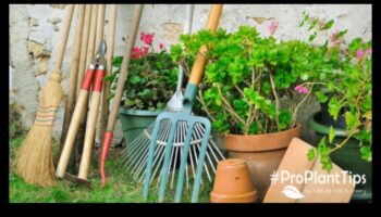 Izkopiet šarmu: svarīgi dārza instrumenti priecīgai dārzkopībai