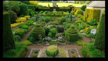 Ziedlapiņas un progress: ceļojums pārdomātā dārza kopšanā