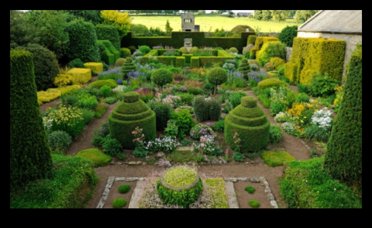 Ziedlapiņas un progress: ceļojums pārdomātā dārza kopšanā